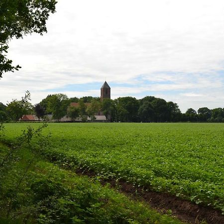 Mooi Nieuw Houten Huisje Havelte Exteriör bild
