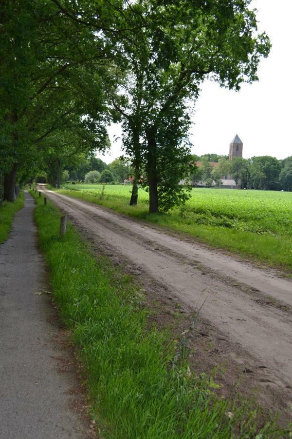 Mooi Nieuw Houten Huisje Havelte Exteriör bild